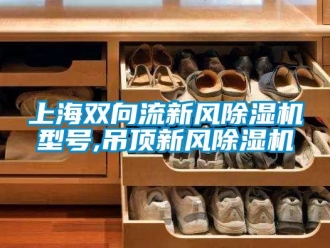 常見問題上海雙向流新風除濕機型號,吊頂新風除濕機