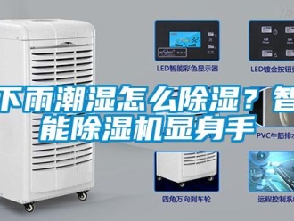 常見問題下雨潮濕怎么除濕？智能除濕機顯身手