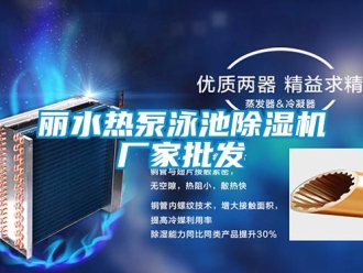 企業(yè)新聞麗水熱泵泳池除濕機(jī)廠家批發(fā)