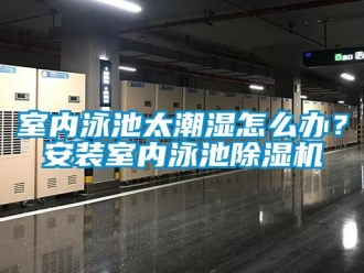 常見問題室內泳池太潮濕怎么辦？安裝室內泳池除濕機