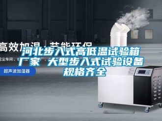 常見問題河北步入式高低溫試驗箱廠家 大型步入式試驗設(shè)備 規(guī)格齊全