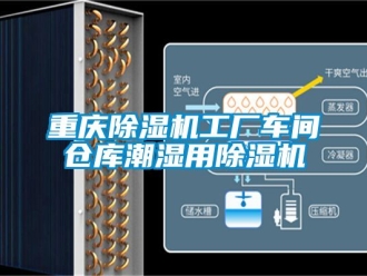 企業新聞重慶除濕機工廠車間倉庫潮濕用除濕機