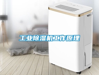常見(jiàn)問(wèn)題工業(yè)除濕機(jī)工作原理