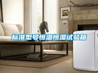 常見問題標準型號恒溫恒濕試驗箱
