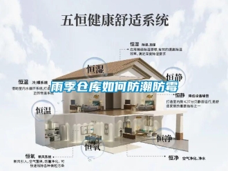 常見問題雨季倉庫如何防潮防霉