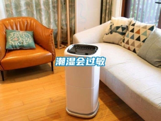 企業新聞潮濕會過敏