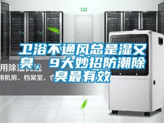 常見問題衛(wèi)浴不通風(fēng)總是濕又臭，9大妙招防潮除臭最有效