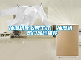 企業(yè)新聞抽濕機什么牌子好  抽濕機 熱門品牌推薦