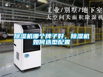 行業(yè)新聞除濕機哪個牌子好，除濕機如何選型配置