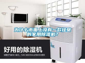 常見問題為什么市面上沒有一款掛壁的家用除濕機？