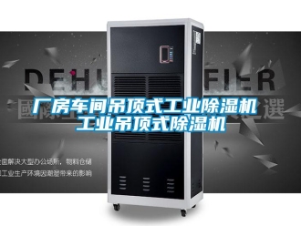 常見問題廠房車間吊頂式工業除濕機 工業吊頂式除濕機