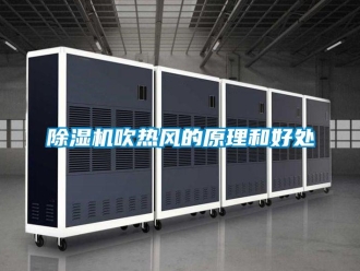 企業新聞除濕機吹熱風的原理和好處