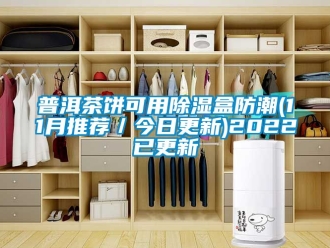 常見問(wèn)題普洱茶餅可用除濕盒防潮(11月推薦／今日更新)2022已更新