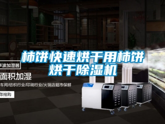 行業新聞柿餅快速烘干用柿餅烘干除濕機