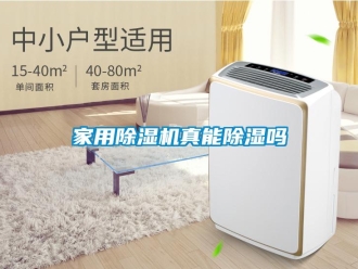 常見(jiàn)問(wèn)題家用除濕機(jī)真能除濕嗎