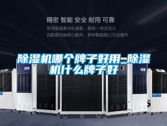 行業(yè)新聞除濕機(jī)哪個(gè)牌子好用_除濕機(jī)什么牌子好