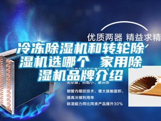 常見問題冷凍除濕機(jī)和轉(zhuǎn)輪除濕機(jī)選哪個 家用除濕機(jī)品牌介紹