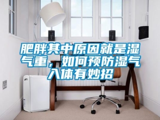 常見問題肥胖其中原因就是濕氣重，如何預防濕氣入體有妙招