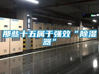 行業(yè)新聞那些十五屬于強(qiáng)效“除濕器”