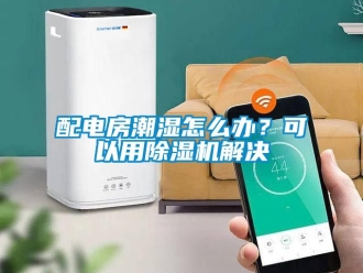 行業新聞配電房潮濕怎么辦？可以用除濕機解決