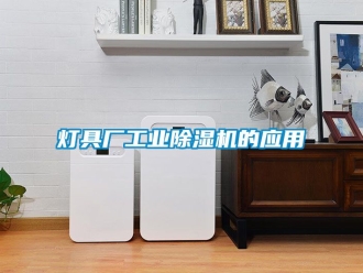常見(jiàn)問(wèn)題燈具廠工業(yè)除濕機(jī)的應(yīng)用