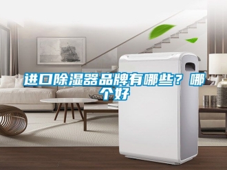 行業(yè)新聞進口除濕器品牌有哪些？哪個好