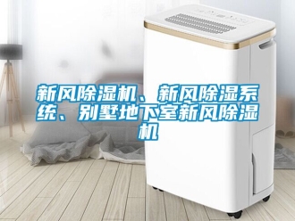 常見問題新風(fēng)除濕機(jī)、新風(fēng)除濕系統(tǒng)、別墅地下室新風(fēng)除濕機(jī)