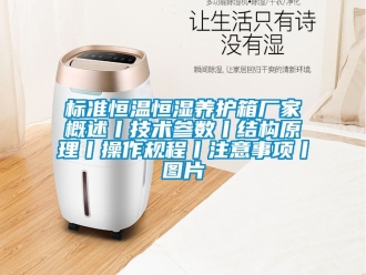 常見問題標準恒溫恒濕養護箱廠家概述丨技術參數丨結構原理丨操作規程丨注意事項丨圖片