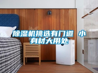 企業(yè)新聞除濕機挑選有門道 小身材大用處