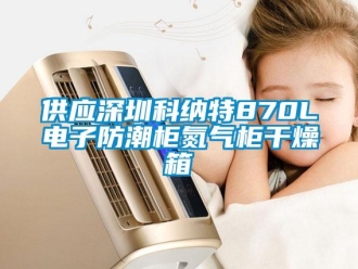 常見問題供應(yīng)深圳科納特870L電子防潮柜氮氣柜干燥箱