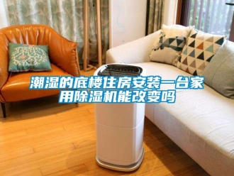 常見(jiàn)問(wèn)題潮濕的底樓住房安裝一臺(tái)家用除濕機(jī)能改變嗎