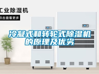 常見問題冷凝式和轉(zhuǎn)輪式除濕機(jī)的原理及優(yōu)劣