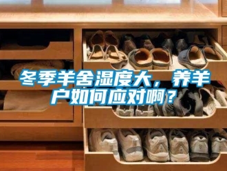 常見問題冬季羊舍濕度大，養羊戶如何應對啊？