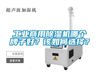 常見問題工業(yè)商用除濕機(jī)哪個牌子好？該如何選擇？