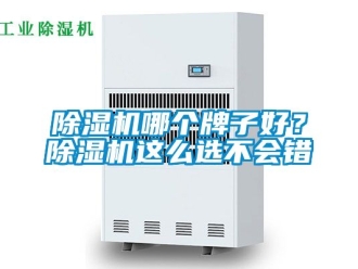 行業(yè)新聞除濕機(jī)哪個牌子好？除濕機(jī)這么選不會錯