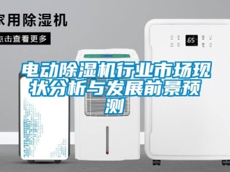 行業(yè)新聞電動除濕機行業(yè)市場現狀分析與發(fā)展前景預測