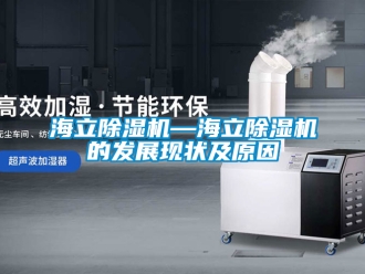 行業(yè)新聞海立除濕機(jī)—海立除濕機(jī)的發(fā)展現(xiàn)狀及原因