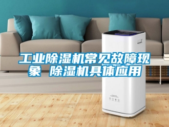 常見問題工業(yè)除濕機常見故障現(xiàn)象 除濕機具體應(yīng)用
