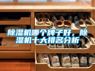 行業(yè)新聞除濕機哪個牌子好，除濕機十大排名分析