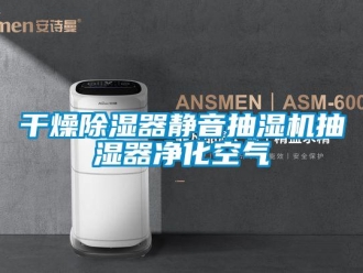 行業新聞干燥除濕器靜音抽濕機抽濕器凈化空氣