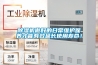 除濕機(jī)做好的日常維護(hù)保養(yǎng)才能有效延長(zhǎng)使用壽命！