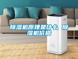 企業(yè)新聞除濕機(jī)原理是什么 除濕機(jī)價(jià)格