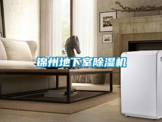 行業(yè)新聞錦州地下室除濕機