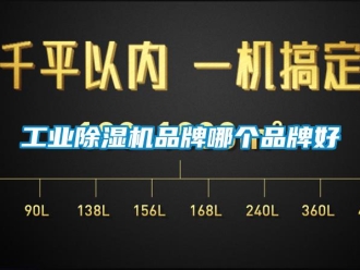 企業(yè)新聞工業(yè)除濕機(jī)品牌哪個(gè)品牌好