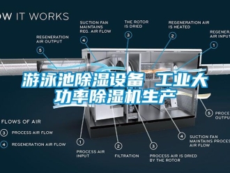 常見問題游泳池除濕設(shè)備 工業(yè)大功率除濕機(jī)生產(chǎn)