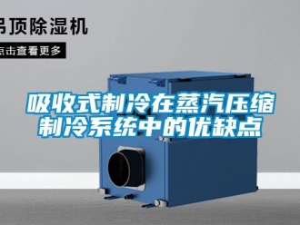 知識(shí)百科吸收式制冷在蒸汽壓縮制冷系統(tǒng)中的優(yōu)缺點(diǎn)