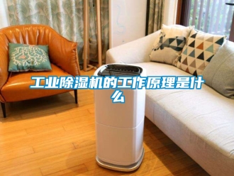 常見問題工業(yè)除濕機(jī)的工作原理是什么