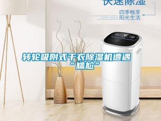 知識百科轉輪吸附式干衣除濕機遭遇“尷尬”