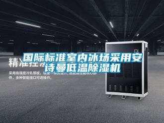 企業(yè)新聞國際標(biāo)準(zhǔn)室內(nèi)冰場采用安詩曼低溫除濕機(jī)