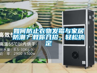 常見問題如何防止衣物發霉與家居防潮？教你幾招，輕松搞定